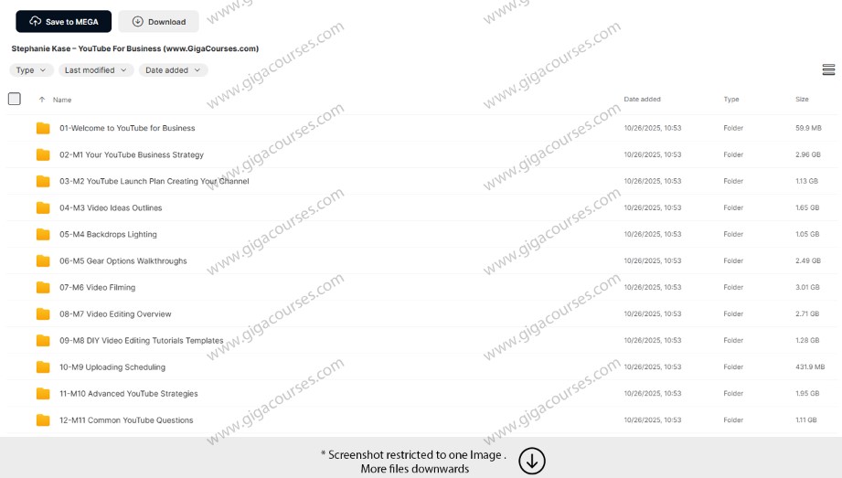 Stephanie Kase – YouTube For Business