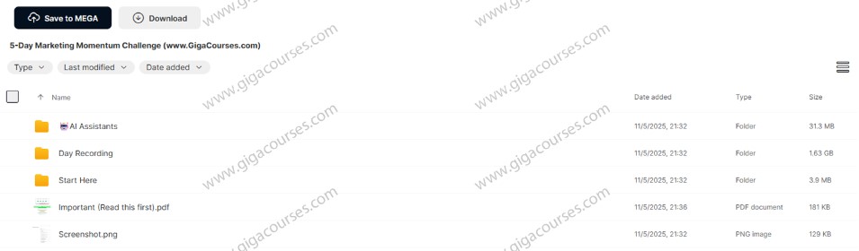 5-Day Marketing Momentum Challenge