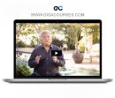 Jack Canfield - Effortless Success