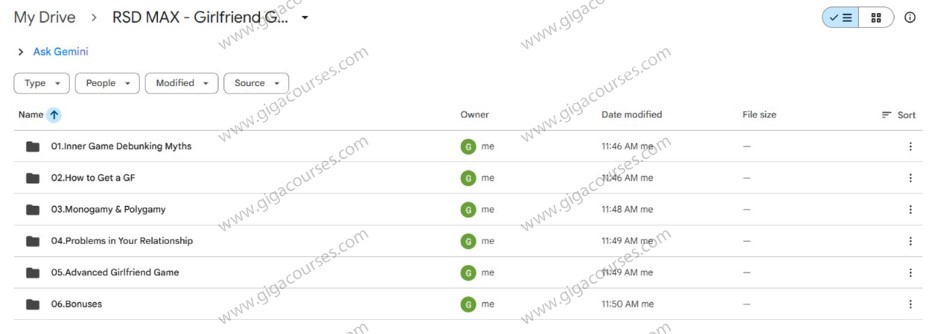 RSD MAX - Girlfriend Game