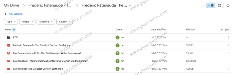 Frederic Patenaude - The Greatest Cure on Earth