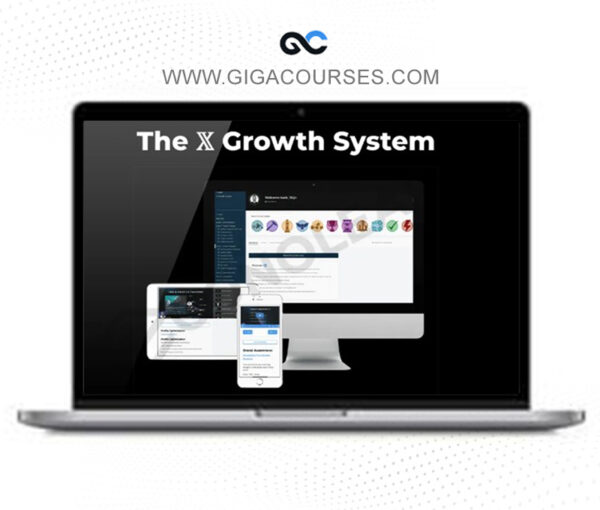 Stijn Noorman - The X Growth System