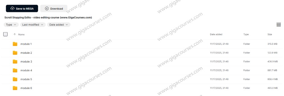 Scroll Stopping Edits - video editing course