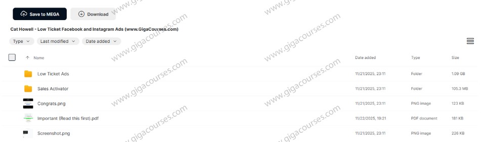 Cat Howell - Low Ticket Facebook and Instagram Ads