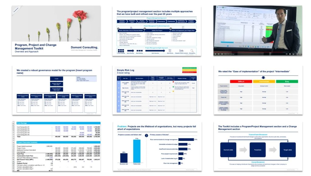 Domont Consulting Bundle