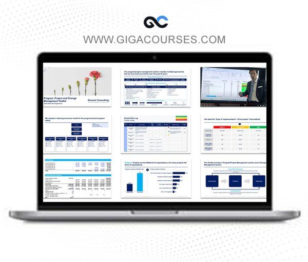 Domont Consulting Bundle