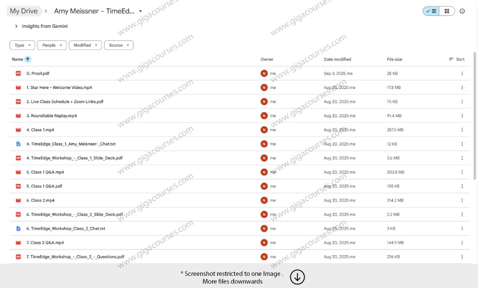 Amy Meissner – TimeEdge Options Strategy 2025
