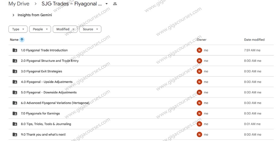 SJG Trades – Flyagonal Deep Dive Course by Steve Ganz