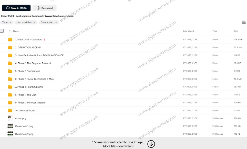 Oscar Patel - Looksmaxing Community