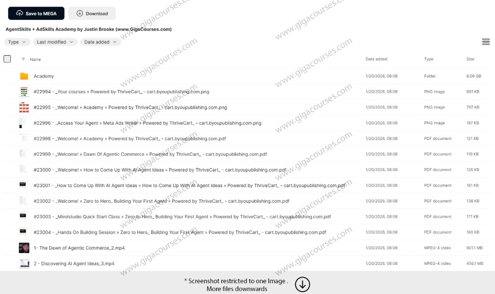 AgentSkills + AdSkills Academy by Justin Brooke