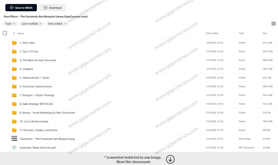 Sam Piliero - The Facebook Ads Blueprint