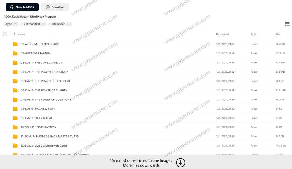 David Bayer - Mind Hack Program